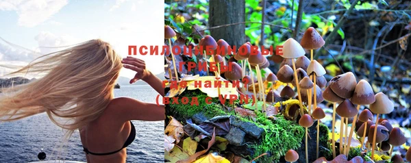 бутират Козельск