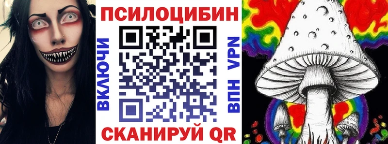 Купить закладки Губкинский Псилоцибиновые грибы MAGIC MUSHROOMS